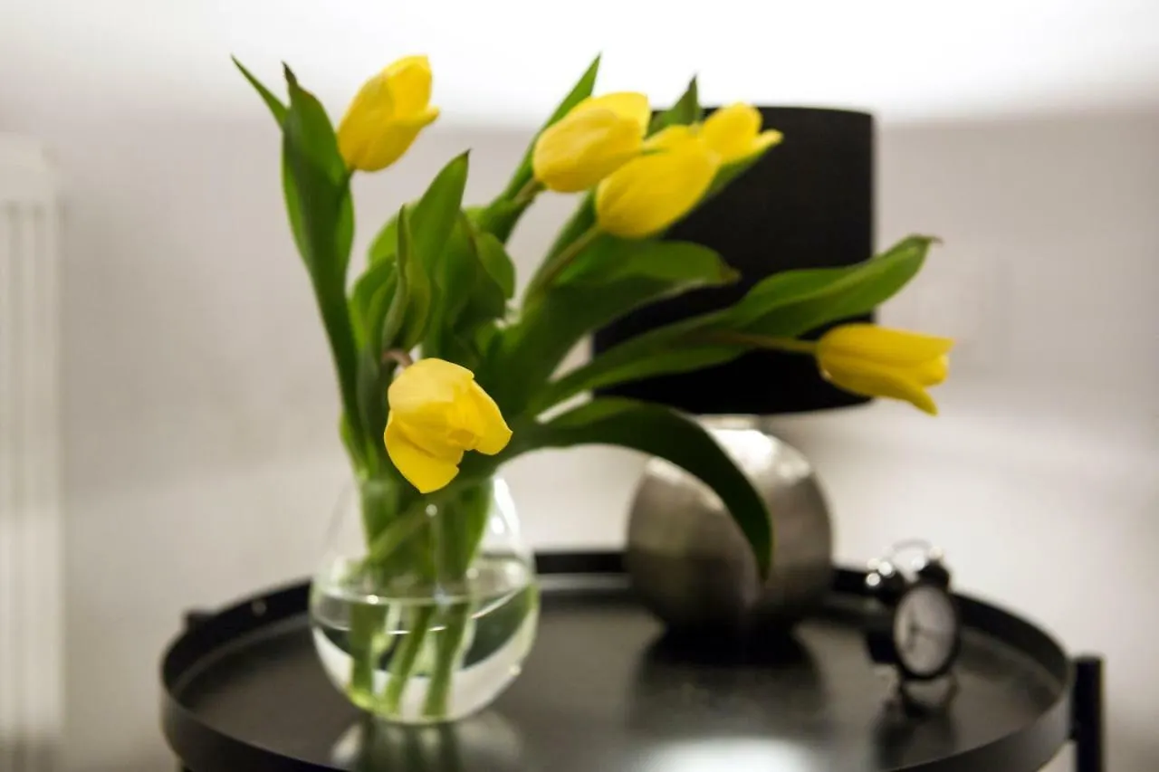 Apartamento apartamenty Stary Kraków GO